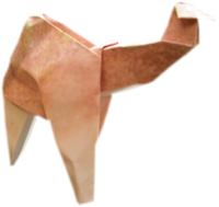 origami kameel
