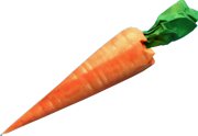 Origami Carrot