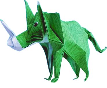 Triceratops dino