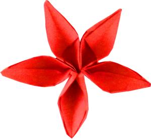 Rood bloemetje met vijf puntige blaadjes
