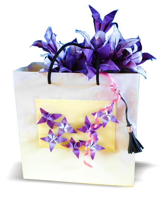 Tas met Origami bloemen