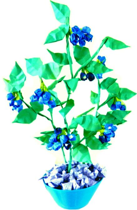 Plant met blauwe besjes clipart plaatje