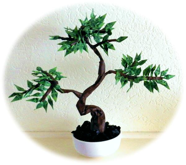 Bonsai boompje