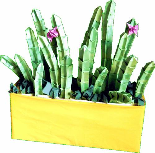 Origami cactus