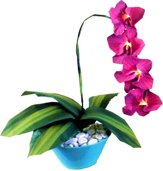 Origami Orchidee