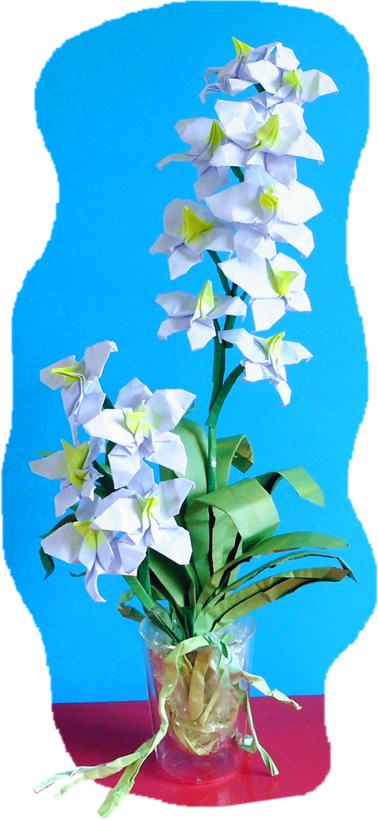 Vanda Orchidee