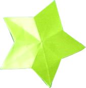 Origami Star