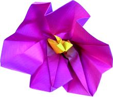 Pink paper flower