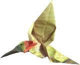 clipart van een kolibri