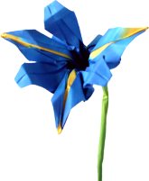 Origami Iris