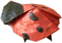 Origami Ladybug