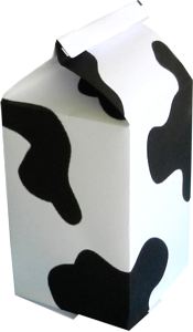 Origami Milk carton
