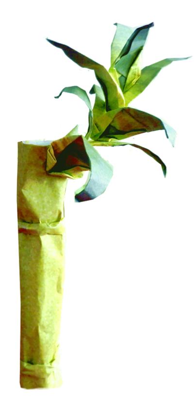 Origami bamboe