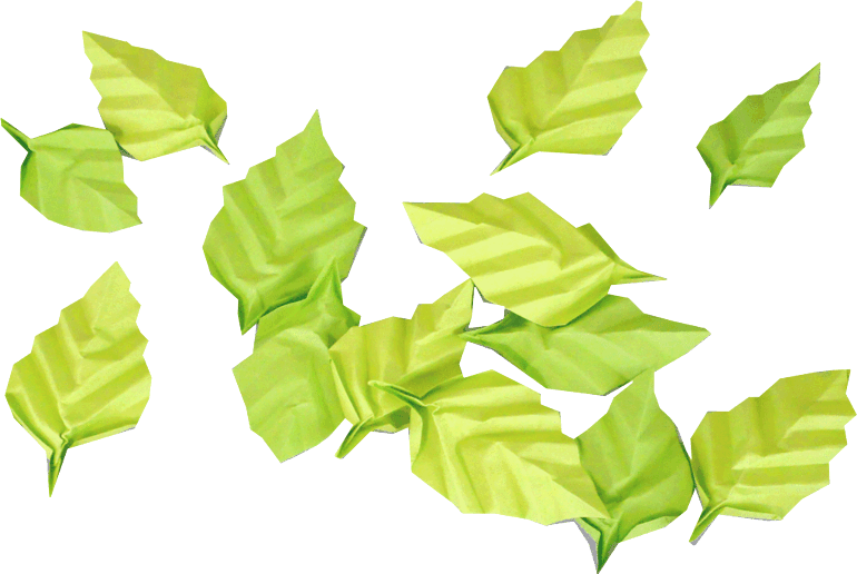 Origami Birch Tree Leaves