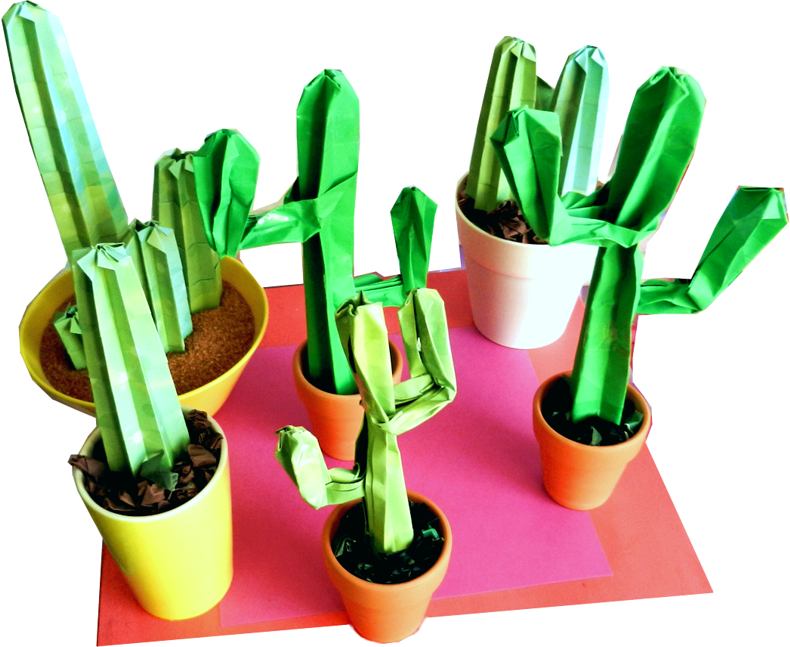 Origami cactussen