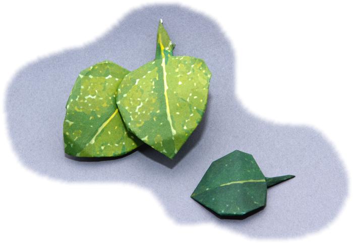 Origami Leafs