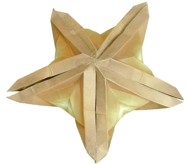 Origami Starfish
