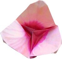 Origami flower