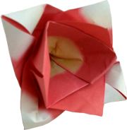 schattige rode bloem van papier gevouwen