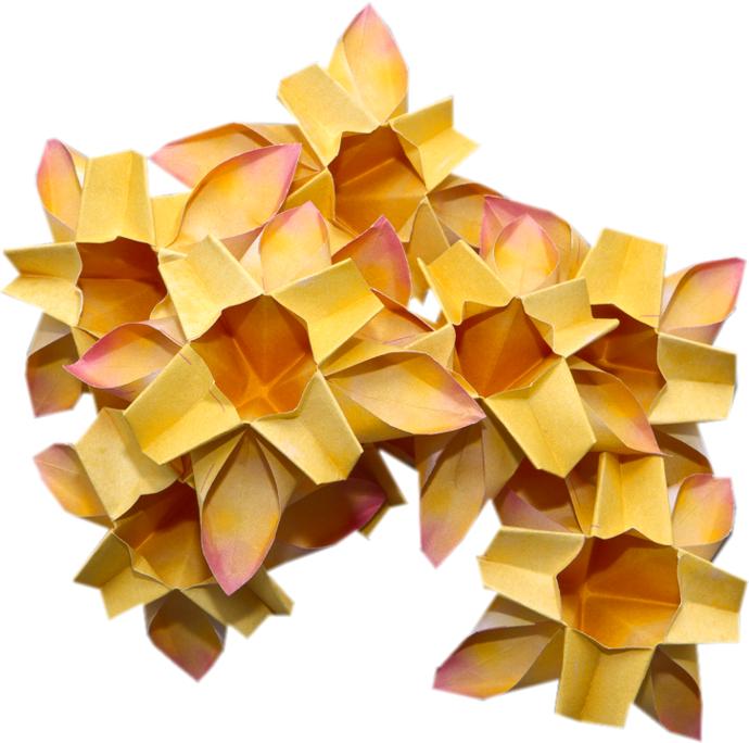 Origami flowers