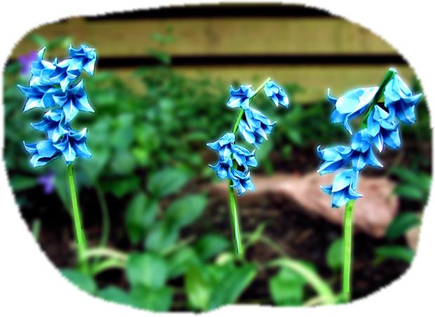 Origami Bell Flowers