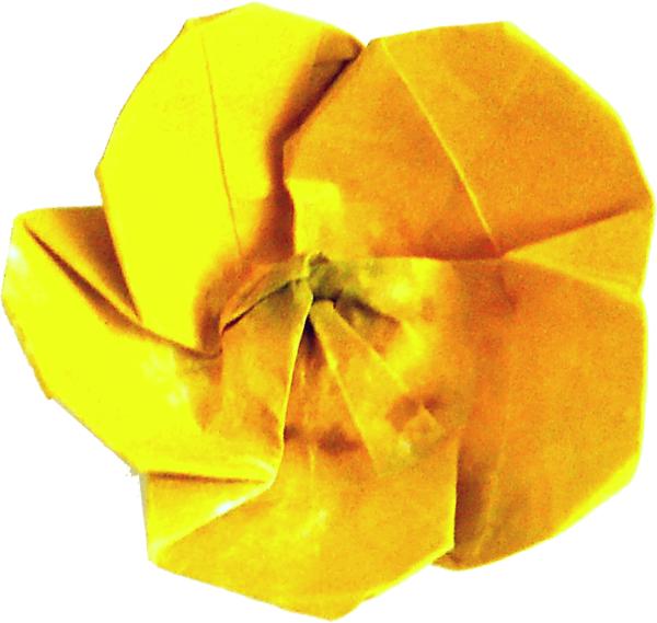 Origami Buttercup Flower