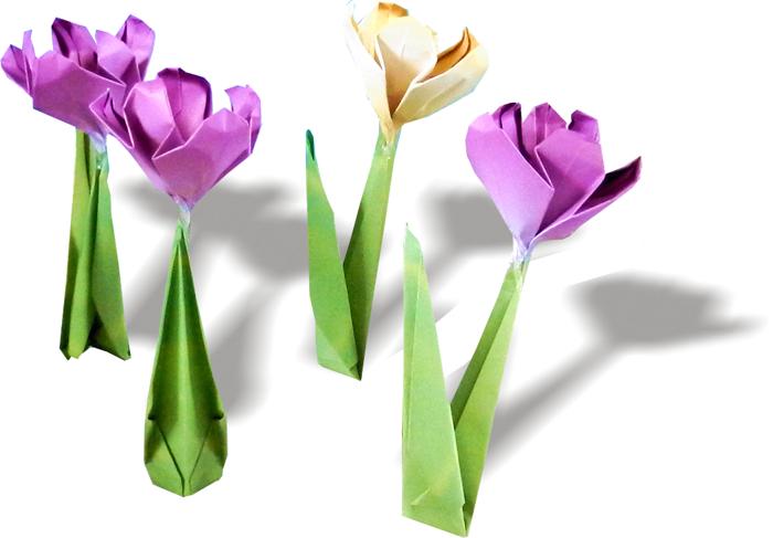 Origami Crocuses