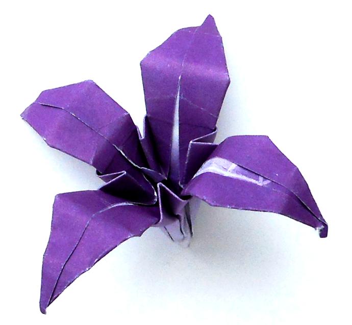 Origami Lily