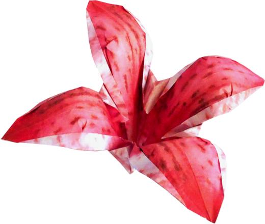 Origami Oriental Lily