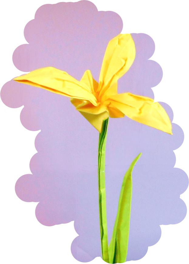 Origami Gele Iris