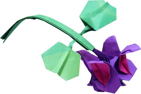 Origami Fuchsia Flower