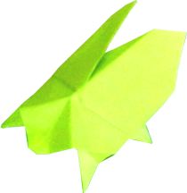 Origami Bug