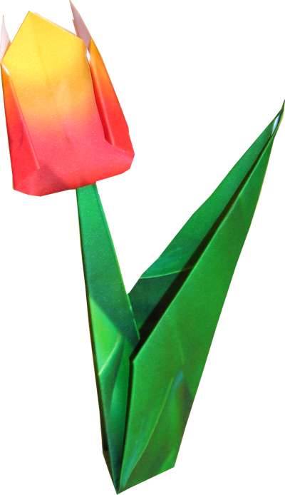 Origami tulp