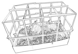 Rabbit cage coloring page