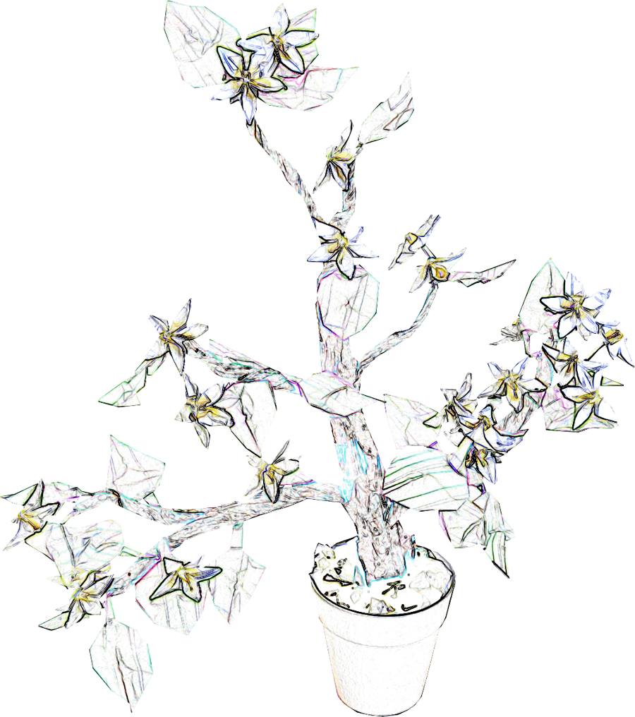 Kleurplaat van een Bonsai Gardenia Bloem