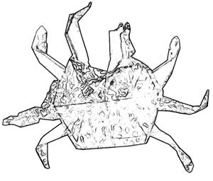 Origami Crab