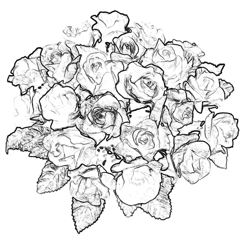 Roses bouquet
