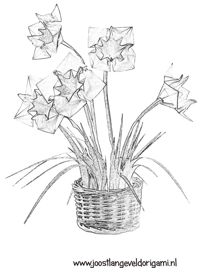 colouring picture of flowers in a basket