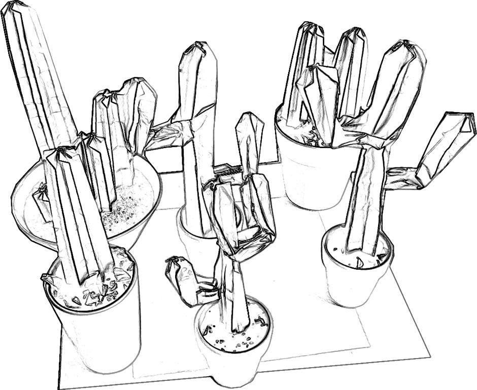 Cactuses in small pots