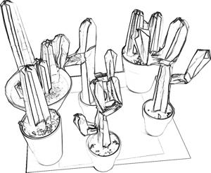Cactussen in potjes