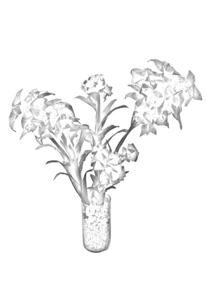 Flowers in a vase