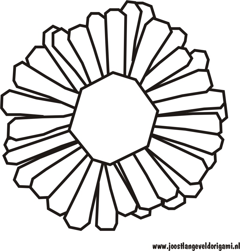 colouring picture of a gerbera