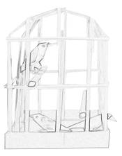 Birds in a birdcage