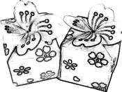 Flower gift boxes