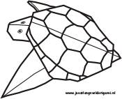Turtle coloring picture