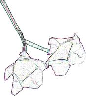 tekening van grote origami bloemen