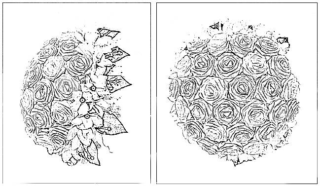 Bridal Roses Bouquet Colouring Picture