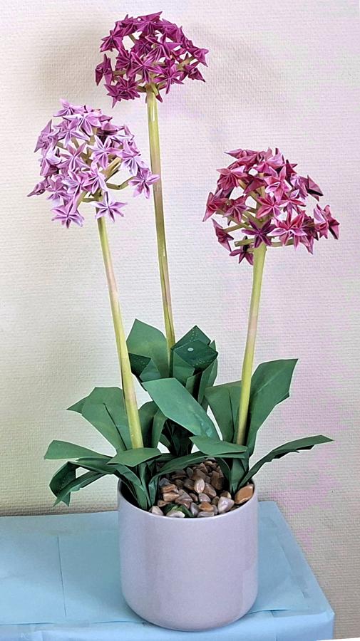 Origami Allium Flowers