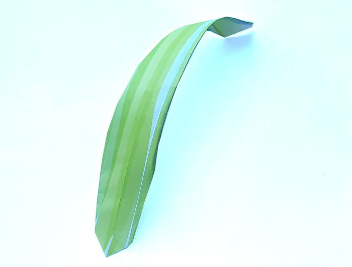Origami Amaryllis Leaf