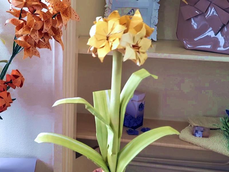 Origami Amaryllis Flower